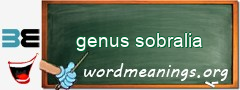 WordMeaning blackboard for genus sobralia
